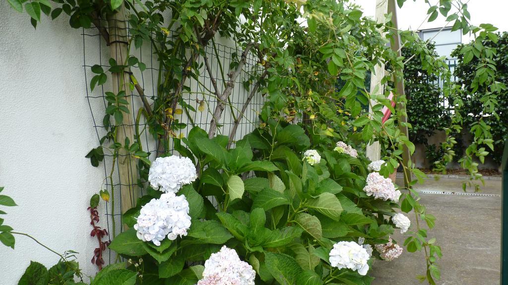 Azores Holidays House - B&B Ponta Delgada Exterior foto