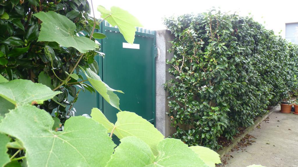 Azores Holidays House - B&B Ponta Delgada Exterior foto
